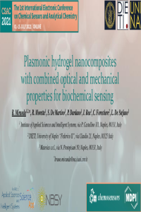BMiranda_CSAC2021_Presentation.pdf