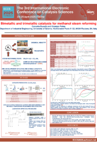 Poster ECCS 2025_Concetta Ruocco.pdf