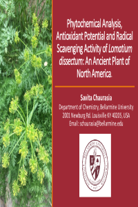 Chaurasia S_Presentation Nutrients 2020.pdf