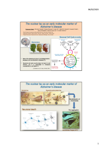 Sciforum meeting - Bruno et al.pdf