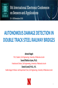 Elelctronic Conference.pdf