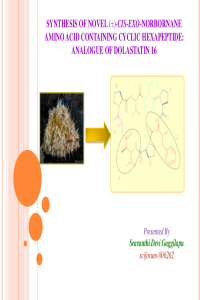 sciforum-006262.pdf