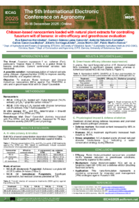 Poster sciforum-144624.pdf