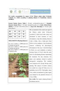 Accumulation of dry matter _english.pdf