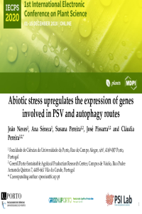 Abiotic stress upregulates the expression of genes involved in PSV and autophagy routes pres.pdf
