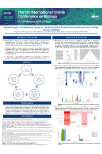 Cantekin_Dursun_Presentation.pdf
