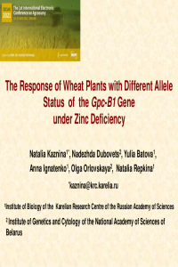 Kaznina et al.(Prezentation).pdf