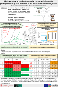 Poster IECE Pauline_Romeyer.pdf