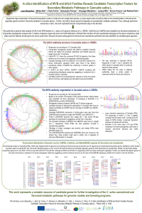 sciforum-039749-Plants_BASSOLINO-poster.pdf