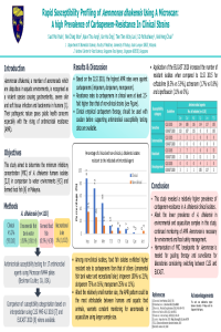 Poster sciforum-044313.pdf