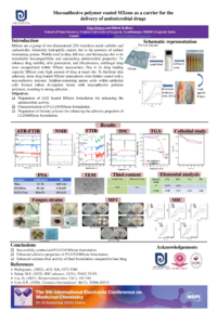 9th-ECMC_Poster_template new.pdf