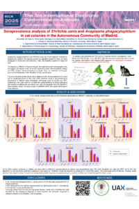 poster.pdf