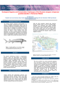 sciforum-157448.pdf