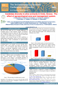 IECD Conference poster template Ioannis Chasourakis.pdf