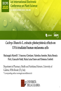 PPT M.Marrelli_PDF.pdf
