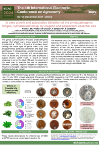 Ortiz&Prieto Poster IECAG.pdf