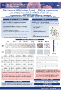 IECC2026_Iwabuchi.pdf