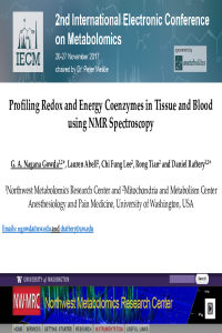 NGowda-2nd-IECM-DR-v2.pdf