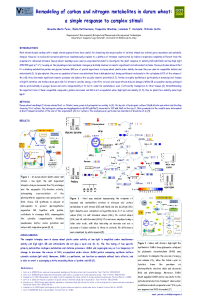 Poster Fusco et al. (Carillo).pdf