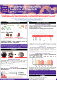 sciforum-111762 (poster).pdf