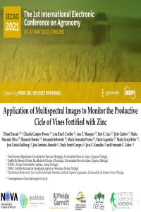 PPT- Manuscript uva2 agronomy 2021 Daccak.pdf