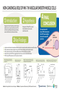 sciforum-057045 poster.pdf