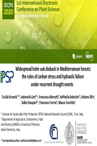 IECPS 2020_Quercus ilex_Brunetti Cecilia.pdf