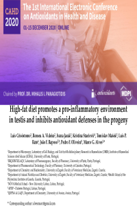 Presentation - Luís Crisóstomo.pdf