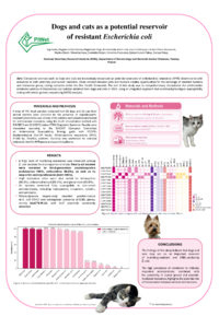Inga Bona poster.pdf