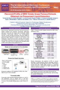 Poster IECMC.pdf
