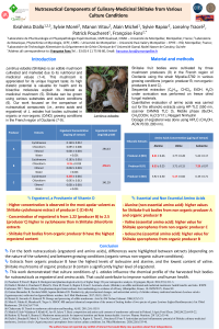 Poster-036831.pdf