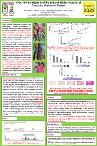 poster sciforum-049080.pdf
