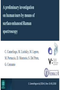 Camerlingo_ecsa5.pdf