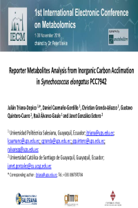 Reporter Metabolites Analysis from Inorganic Carbon Acclimation in Synechococcus elongatus PCC7942.pdf