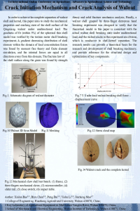 Presentation of Posters.pdf