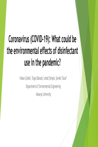 038525-slide.pdf