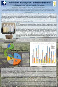 POSTER Lavados uterinos (1).pdf