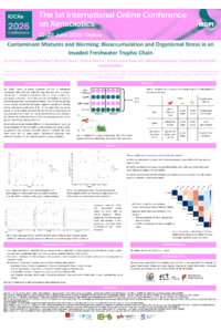 Sara_Santos_Poster.pdf
