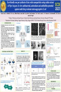 Poster.pdf