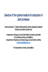 Koroleva_presentation_1.pdf