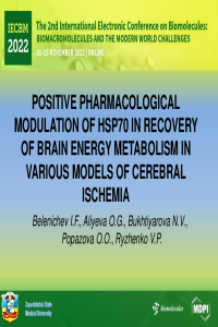 Belenichev_I_F.pdf