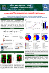 Poster IOCFE2025 Renan Piraine.pdf