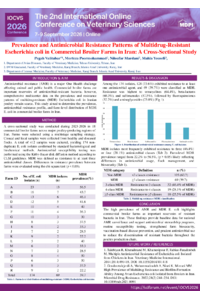 Antimicrobial Resistance Patterns of Multidrug-Resistant Escherichia coli.pdf