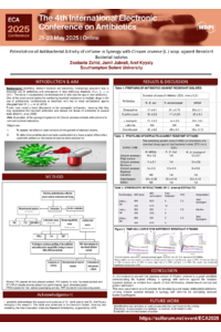 Poster Presentation_Zoobaria Zahid.pdf