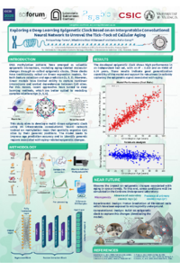 IOCBI_Poster_Enrique_Roig_Tormo.pdf