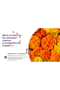 tagetes_out_v2.pdf