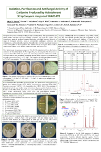 Sineva et al..pdf