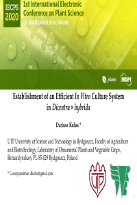 Kulus.pdf