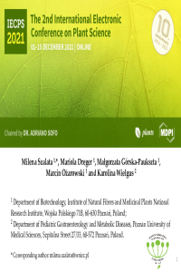 MSzalata_presentation.pdf
