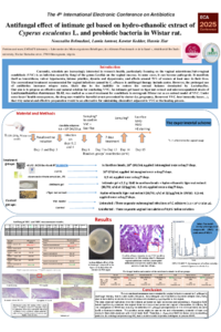 A0 ZIAR H ECA2025 conference.pdf